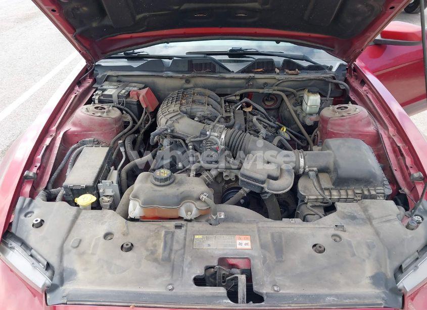 Photo 10 of 2014 Ford Mustang V6 PREMIUM (VIN 1ZVBP8AM9E5280173)