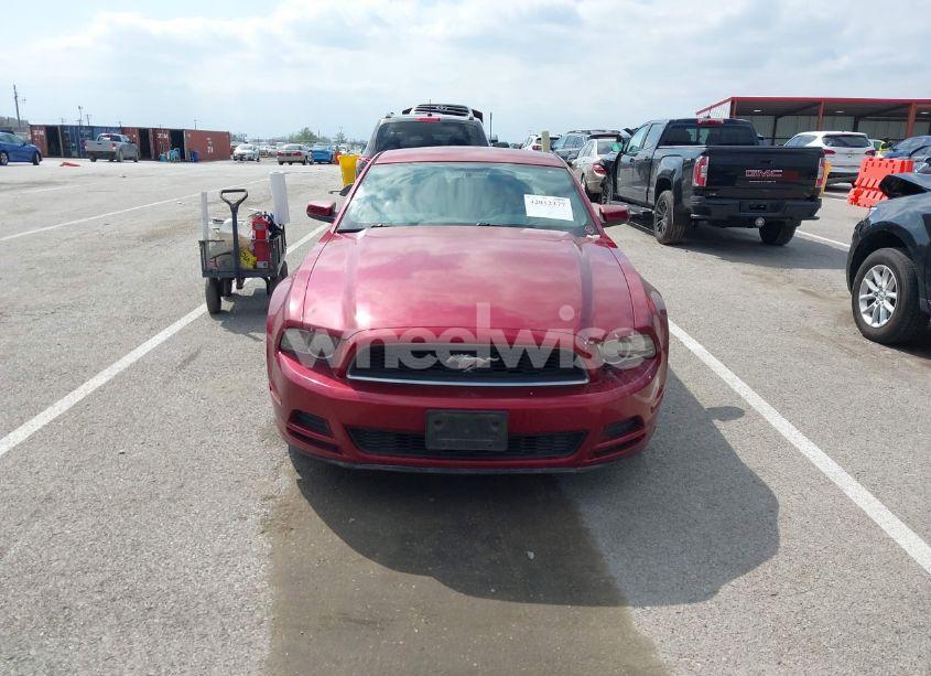 Photo 12 of 2014 Ford Mustang V6 PREMIUM (VIN 1ZVBP8AM9E5280173)