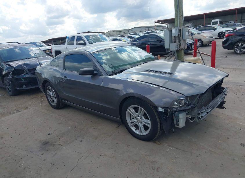2014 Ford Mustang N/A (VIN 1ZVBP8AM9E5280755) main photo