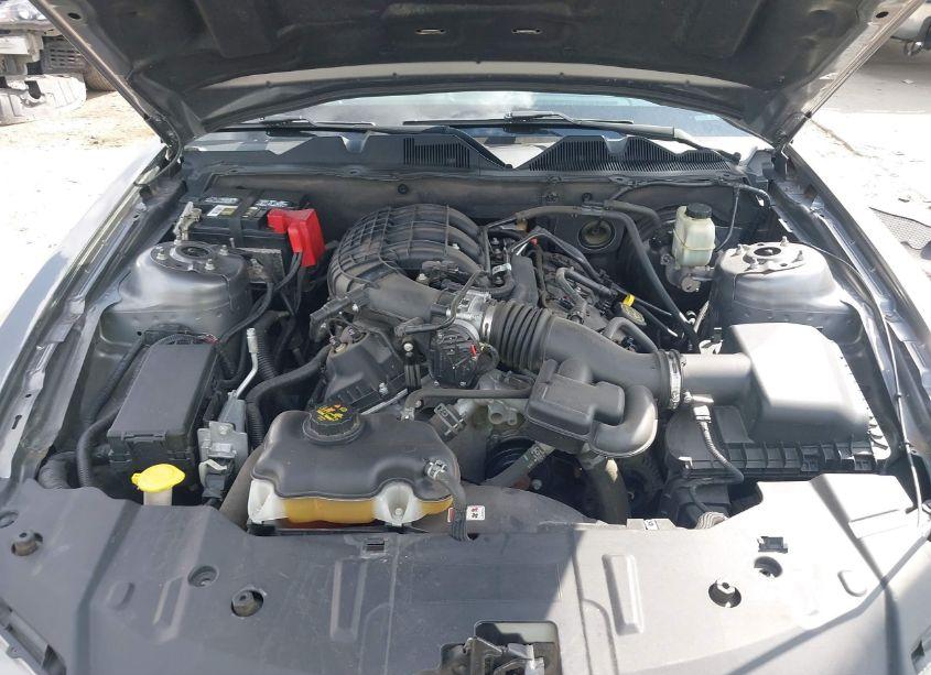 Photo 10 of 2014 Ford Mustang N/A (VIN 1ZVBP8AM9E5280755)