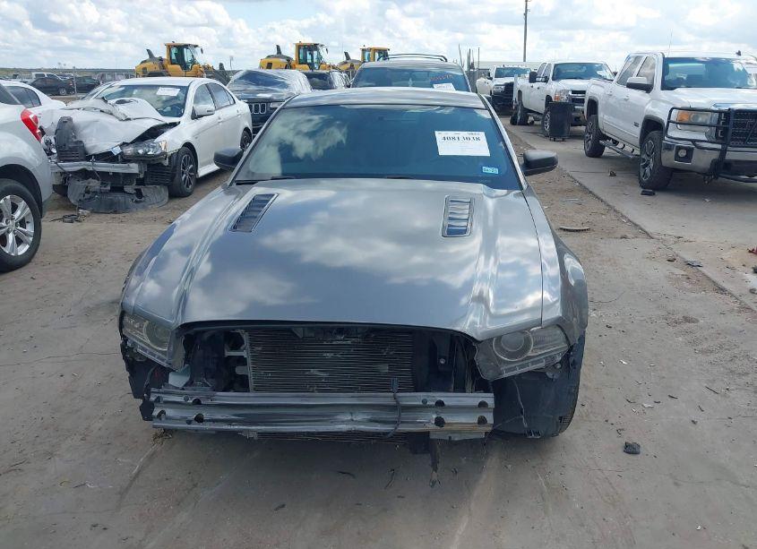Photo 12 of 2014 Ford Mustang N/A (VIN 1ZVBP8AM9E5280755)