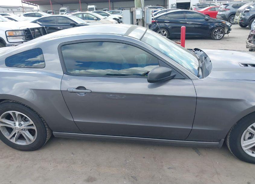 Photo 13 of 2014 Ford Mustang N/A (VIN 1ZVBP8AM9E5280755)