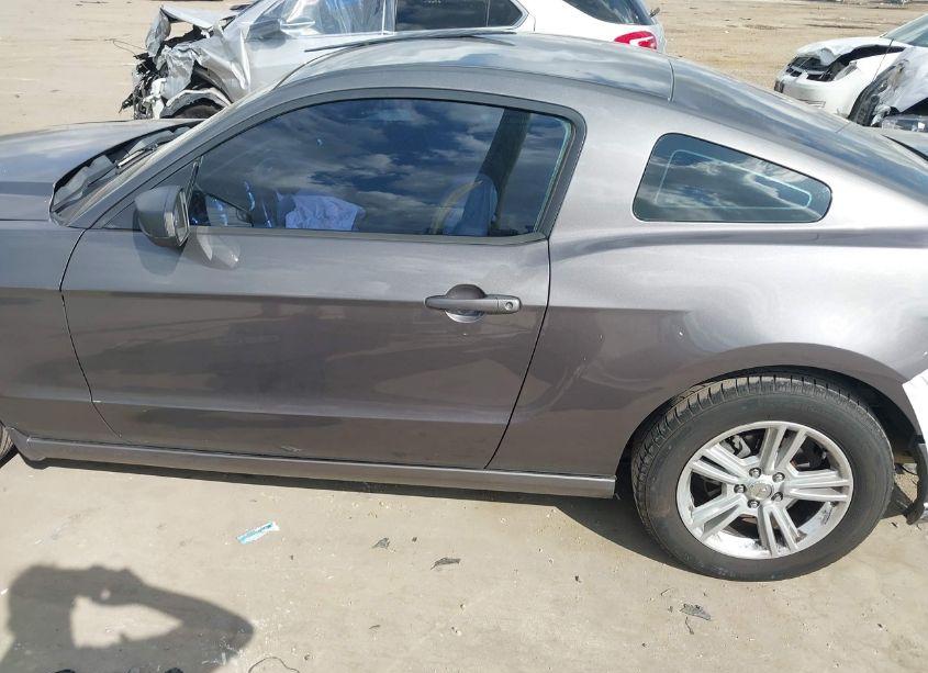 Photo 14 of 2014 Ford Mustang N/A (VIN 1ZVBP8AM9E5280755)