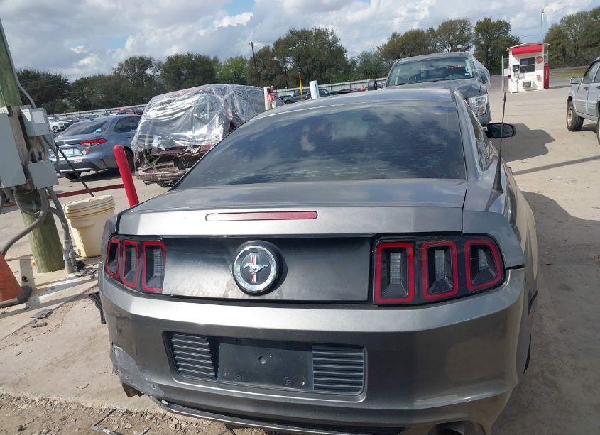 Photo 16 of 2014 Ford Mustang N/A (VIN 1ZVBP8AM9E5280755)