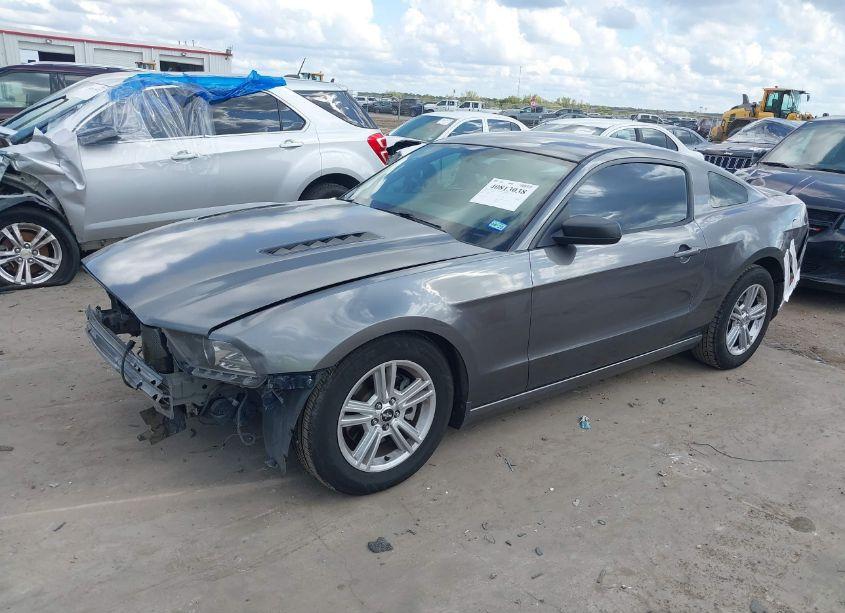 Photo 2 of 2014 Ford Mustang N/A (VIN 1ZVBP8AM9E5280755)