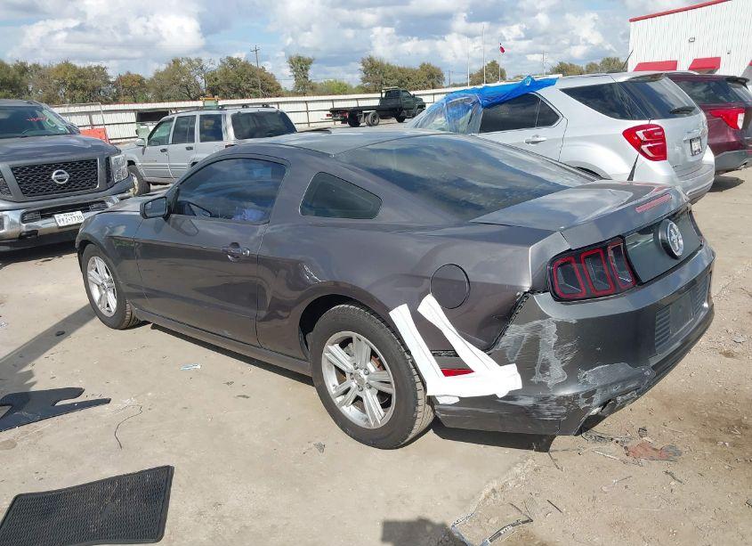 Photo 3 of 2014 Ford Mustang N/A (VIN 1ZVBP8AM9E5280755)