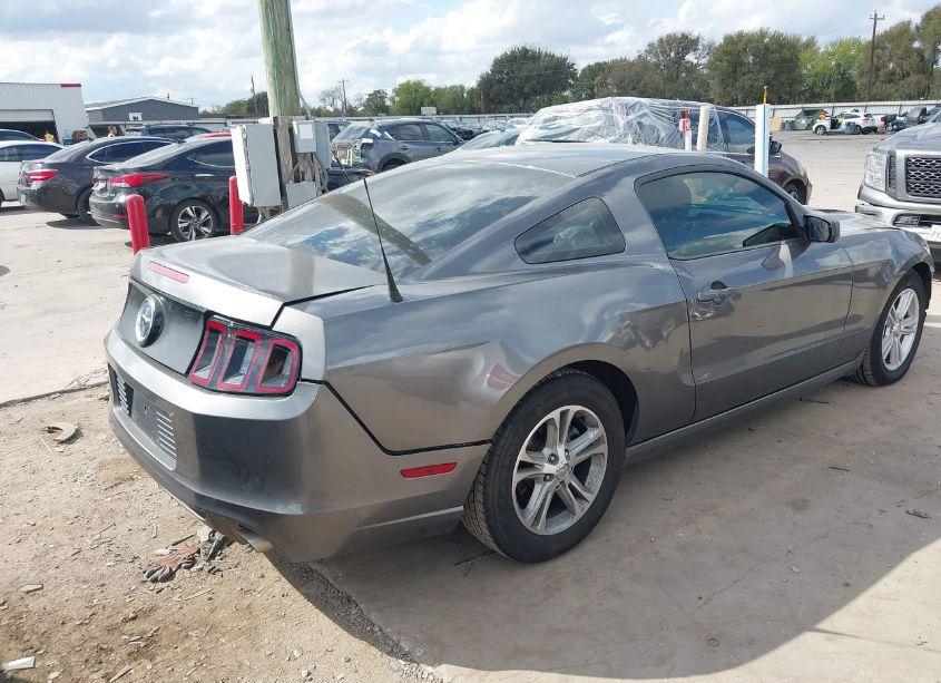 Photo 4 of 2014 Ford Mustang N/A (VIN 1ZVBP8AM9E5280755)