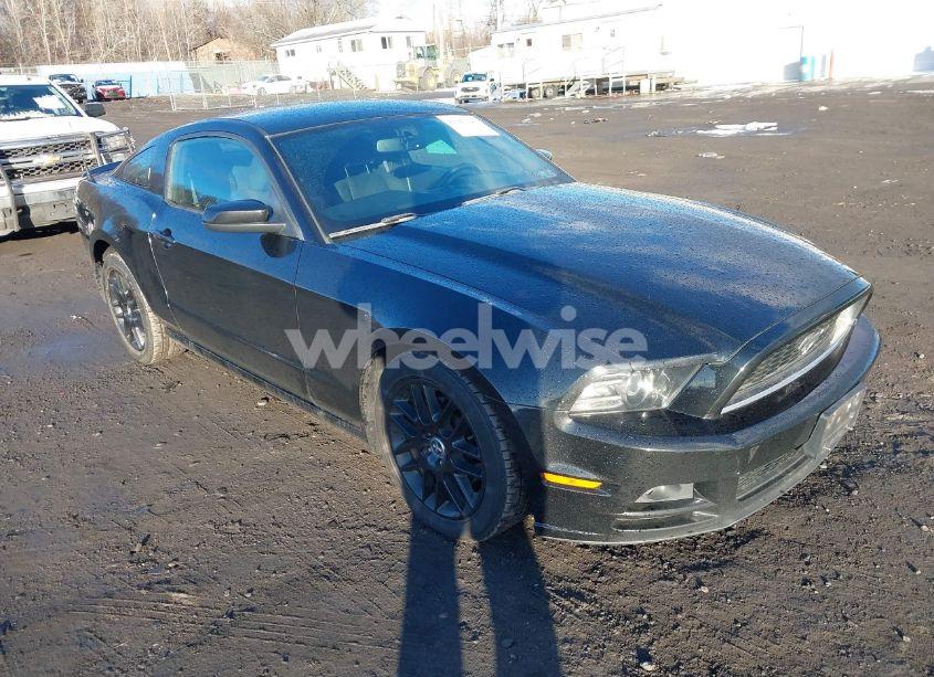 2014 Ford Mustang V6 (VIN 1ZVBP8AM9E5287432) main photo