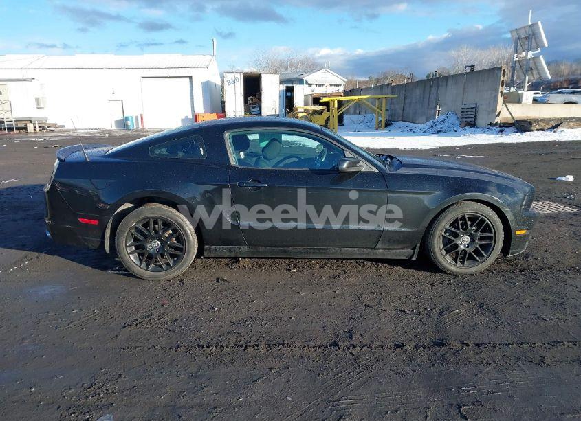 Photo 13 of 2014 Ford Mustang V6 (VIN 1ZVBP8AM9E5287432)