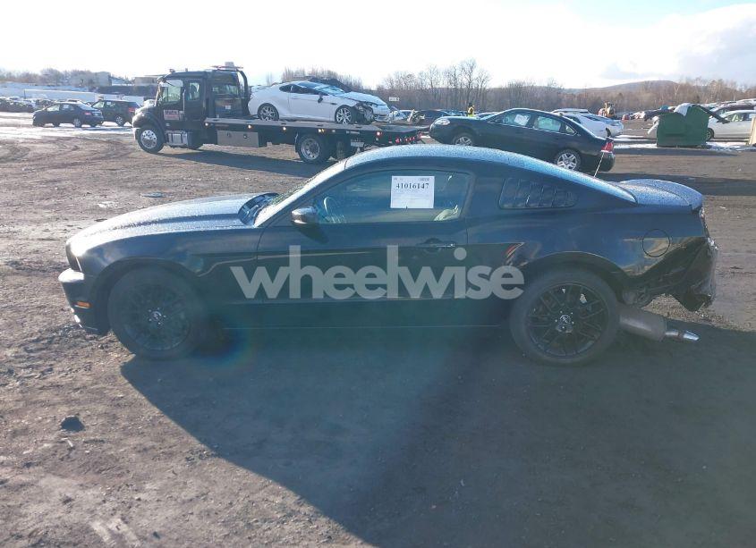 Photo 14 of 2014 Ford Mustang V6 (VIN 1ZVBP8AM9E5287432)