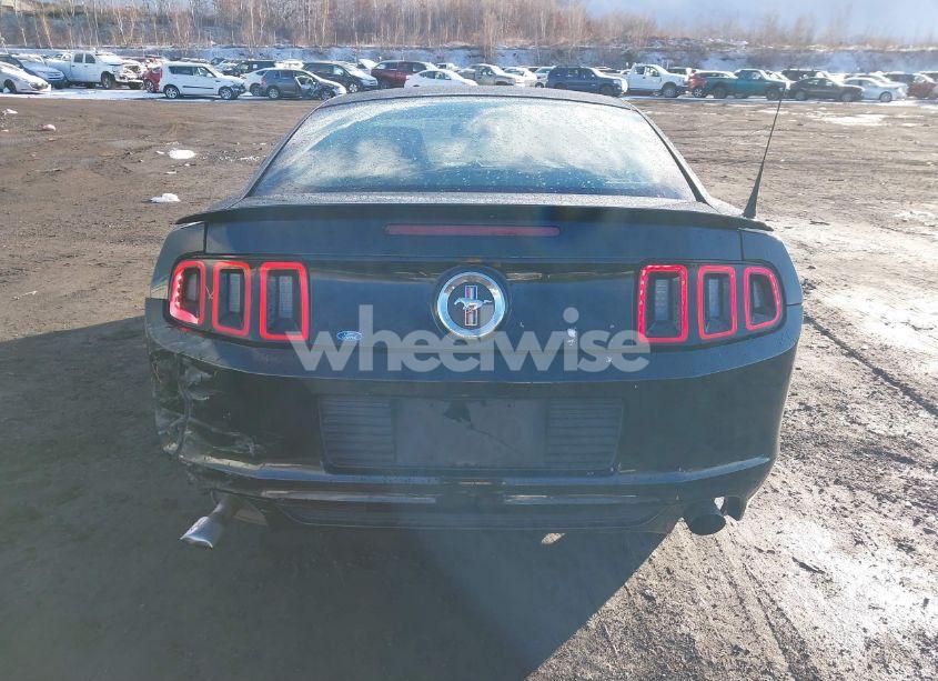 Photo 16 of 2014 Ford Mustang V6 (VIN 1ZVBP8AM9E5287432)