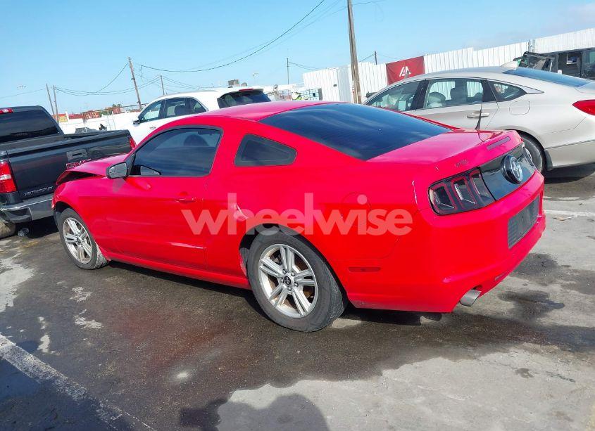 Photo 14 of 2014 Ford Mustang V6 (VIN 1ZVBP8AM9E5302169)