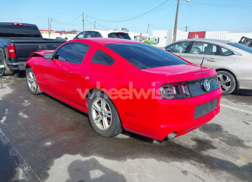 Photo 3 of 2014 Ford Mustang V6 (VIN 1ZVBP8AM9E5302169)