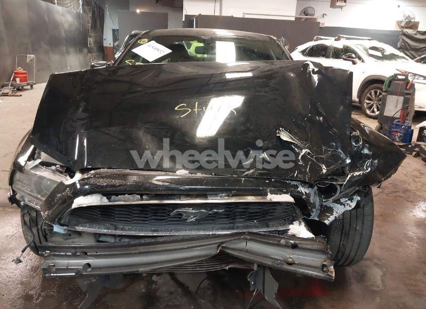 Photo 6 of 2014 Ford Mustang V6 (VIN 1ZVBP8AM9E5323975)