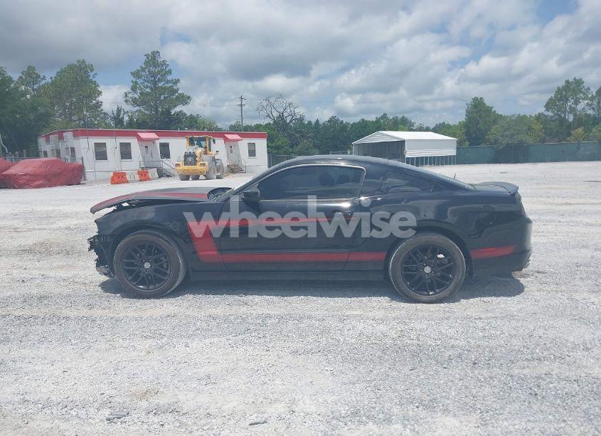 Photo 15 of 2014 Ford Mustang V6 (VIN 1ZVBP8AM9E5325001)