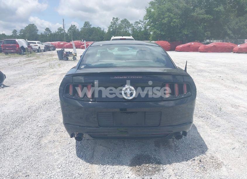 Photo 17 of 2014 Ford Mustang V6 (VIN 1ZVBP8AM9E5325001)