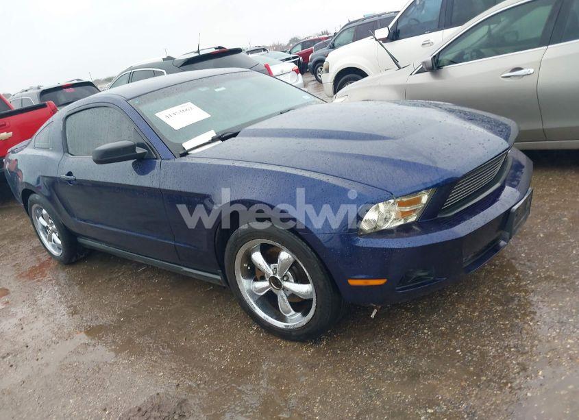 2011 Ford Mustang V6 PREMIUM (VIN 1ZVBP8AMXB5136501) main photo
