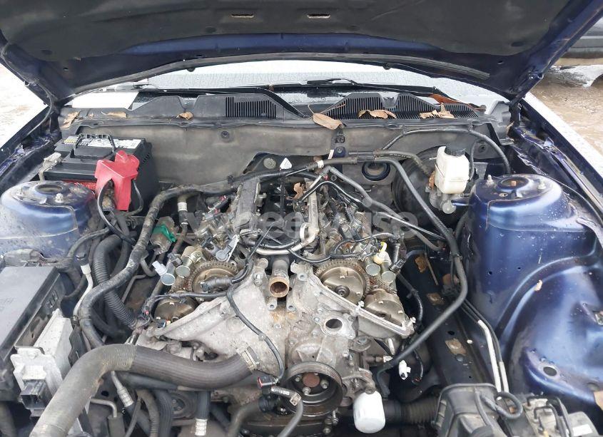 Photo 10 of 2011 Ford Mustang V6 PREMIUM (VIN 1ZVBP8AMXB5136501)