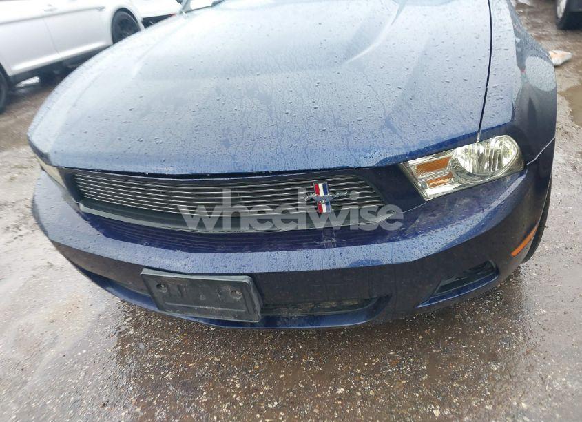 Photo 12 of 2011 Ford Mustang V6 PREMIUM (VIN 1ZVBP8AMXB5136501)