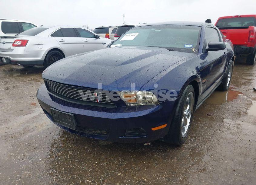 Photo 2 of 2011 Ford Mustang V6 PREMIUM (VIN 1ZVBP8AMXB5136501)