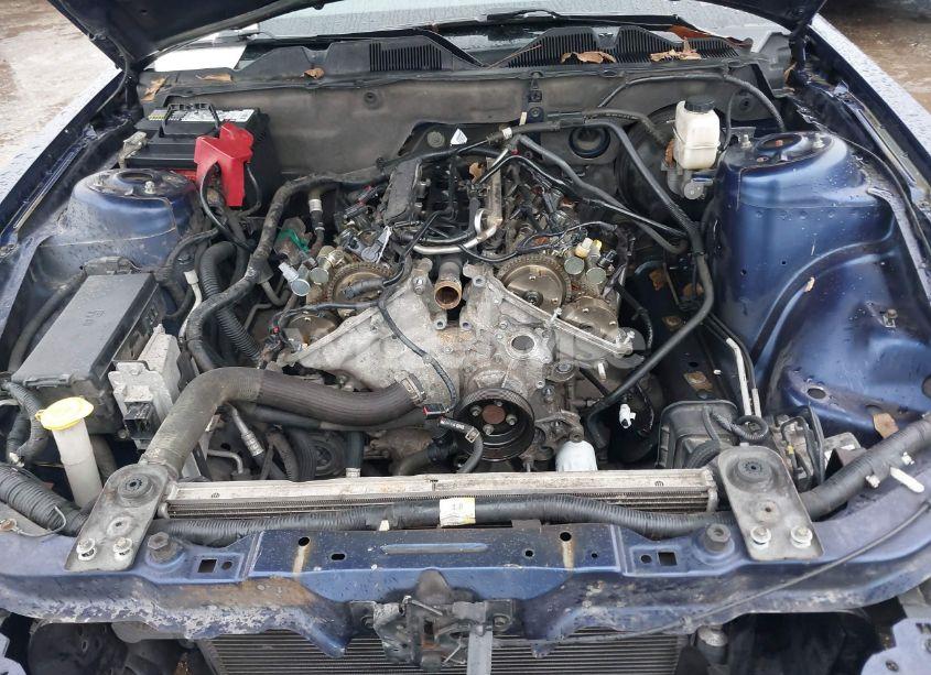 Photo 6 of 2011 Ford Mustang V6 PREMIUM (VIN 1ZVBP8AMXB5136501)