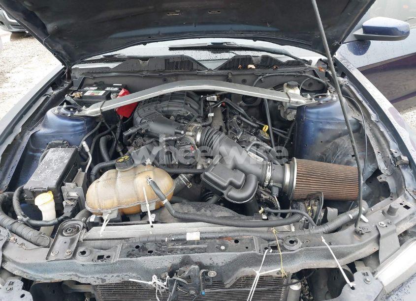 Photo 10 of 2011 Ford Mustang V6 PREMIUM (VIN 1ZVBP8AMXB5164945)