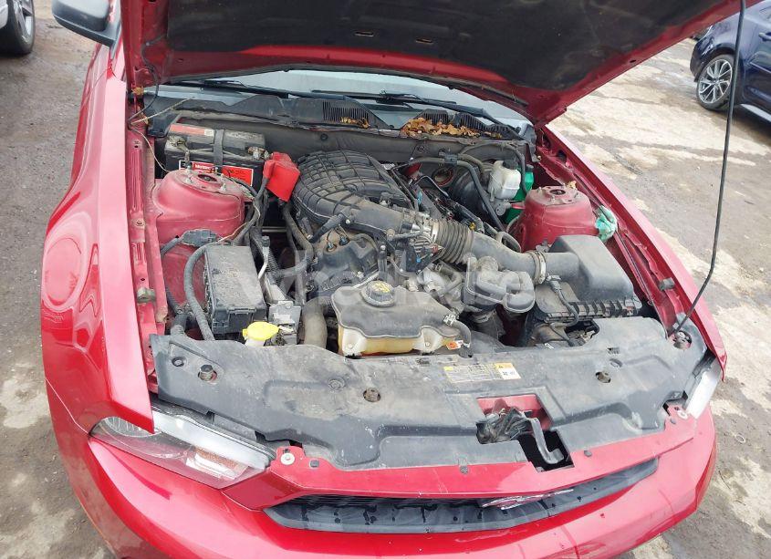 Photo 10 of 2012 Ford Mustang V6 (VIN 1ZVBP8AMXC5256431)