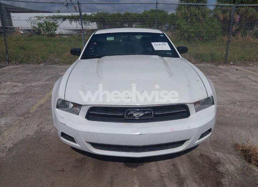 Photo 12 of 2012 Ford Mustang V6 PREMIUM (VIN 1ZVBP8AMXC5271916)