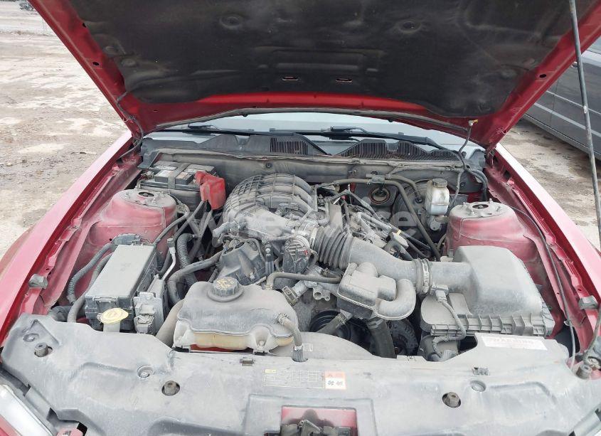 Photo 10 of 2012 Ford Mustang V6 PREMIUM (VIN 1ZVBP8AMXC5277943)