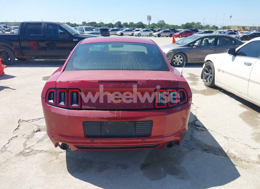 Photo 16 of 2013 Ford Mustang V6 (VIN 1ZVBP8AMXD5200765)