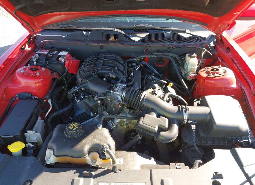 Photo 10 of 2013 Ford Mustang V6 PREMIUM (VIN 1ZVBP8AMXD5233832)