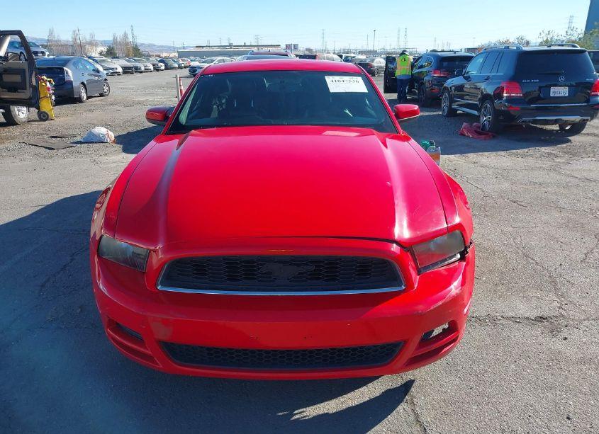 Photo 12 of 2013 Ford Mustang V6 PREMIUM (VIN 1ZVBP8AMXD5233832)