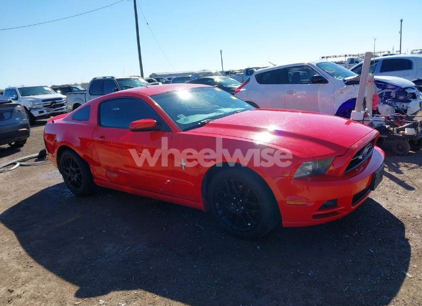Photo 13 of 2013 Ford Mustang V6 PREMIUM (VIN 1ZVBP8AMXD5250985)