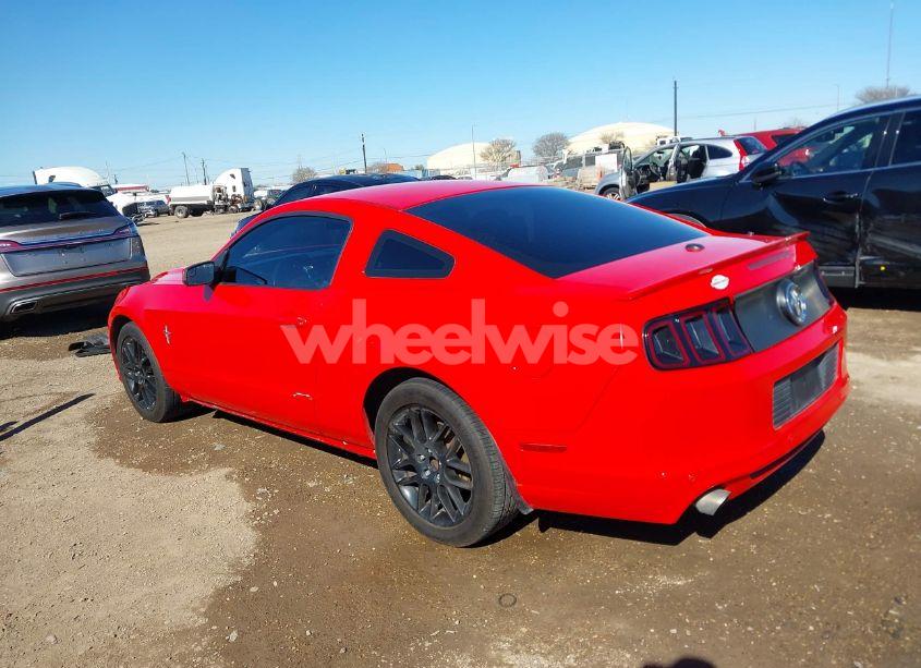 Photo 14 of 2013 Ford Mustang V6 PREMIUM (VIN 1ZVBP8AMXD5250985)
