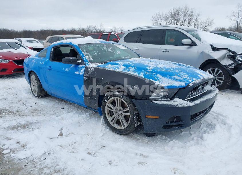 2014 Ford Mustang V6 (VIN 1ZVBP8AMXE5203859) main photo