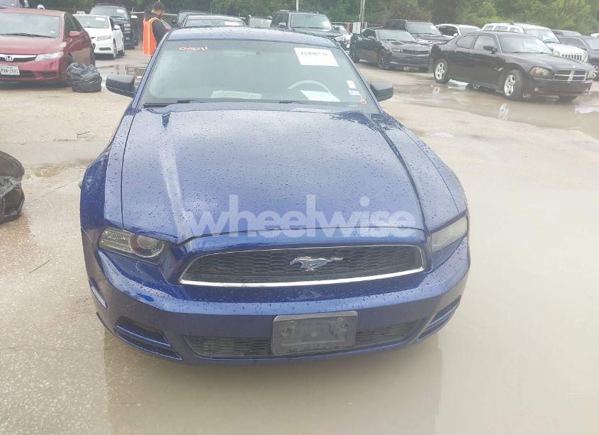 Photo 6 of 2014 Ford Mustang V6 (VIN 1ZVBP8AMXE5233430)