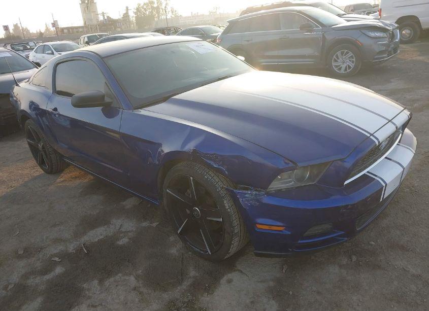 2014 Ford Mustang V6 (VIN 1ZVBP8AMXE5259400) main photo
