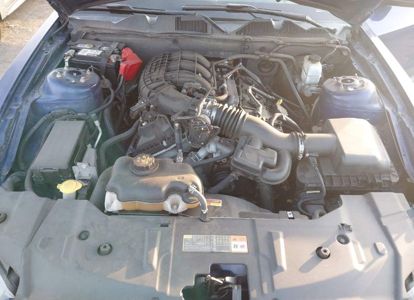 Photo 10 of 2014 Ford Mustang V6 (VIN 1ZVBP8AMXE5259400)