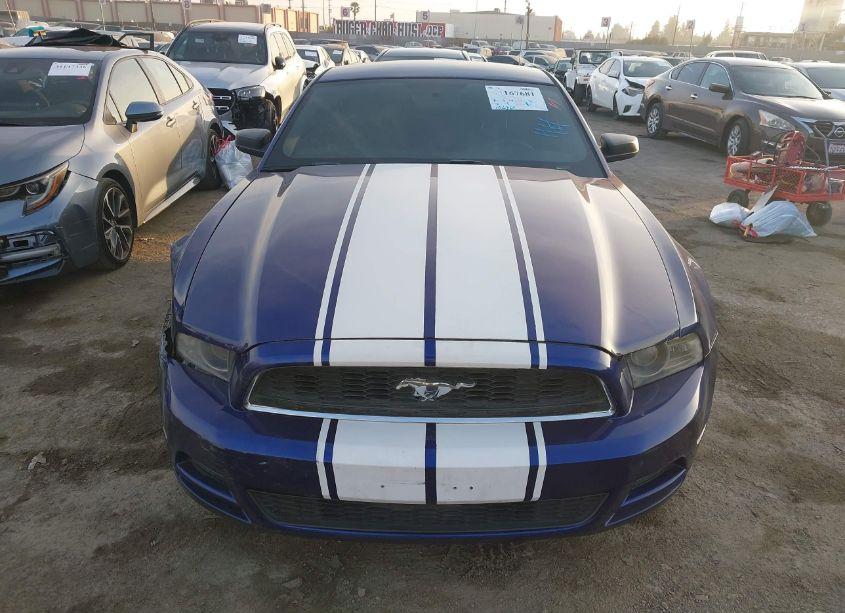 Photo 12 of 2014 Ford Mustang V6 (VIN 1ZVBP8AMXE5259400)