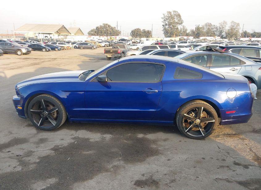 Photo 14 of 2014 Ford Mustang V6 (VIN 1ZVBP8AMXE5259400)