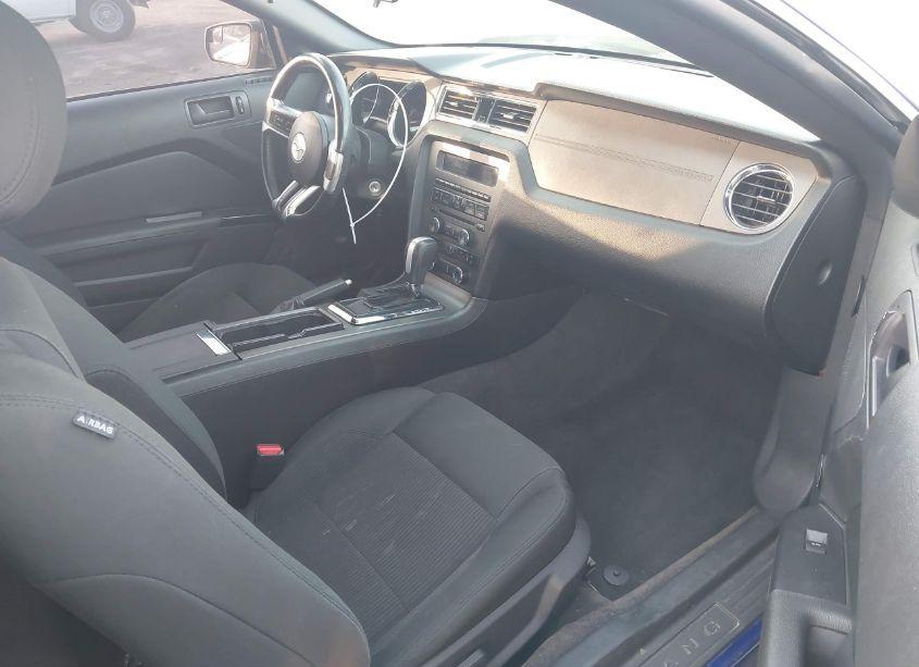Photo 5 of 2014 Ford Mustang V6 (VIN 1ZVBP8AMXE5259400)