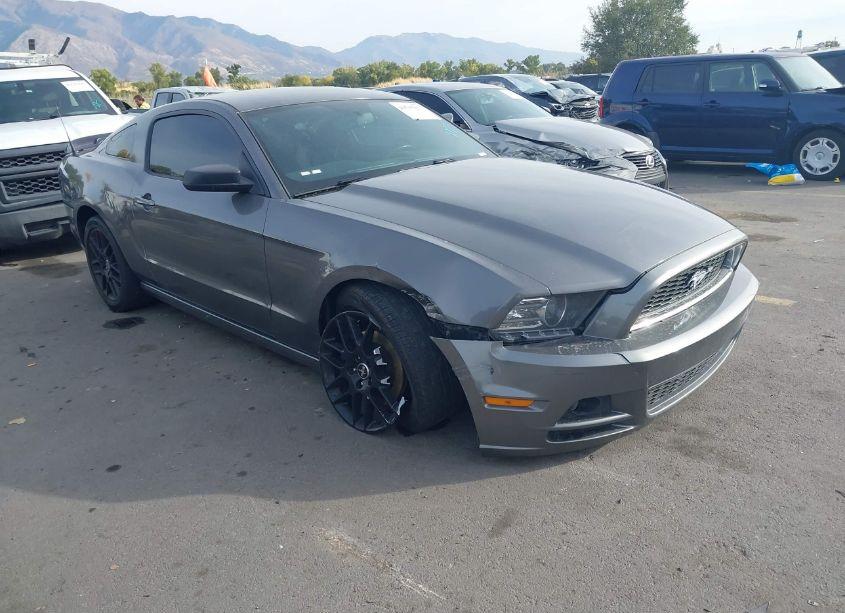 2014 Ford Mustang V6 (VIN 1ZVBP8AMXE5269554) main photo