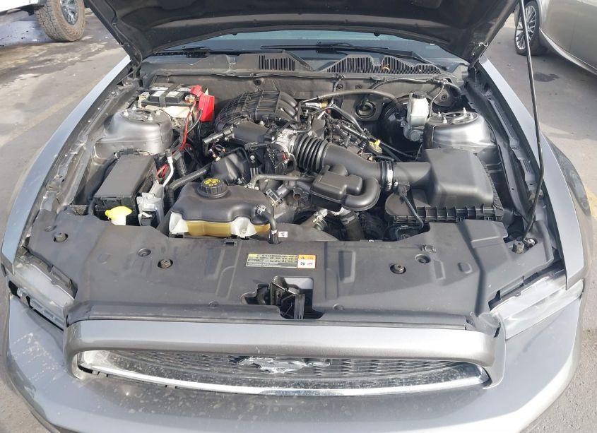 Photo 10 of 2014 Ford Mustang V6 (VIN 1ZVBP8AMXE5269554)