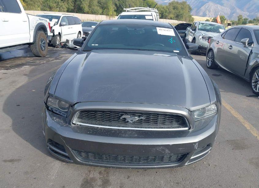 Photo 12 of 2014 Ford Mustang V6 (VIN 1ZVBP8AMXE5269554)