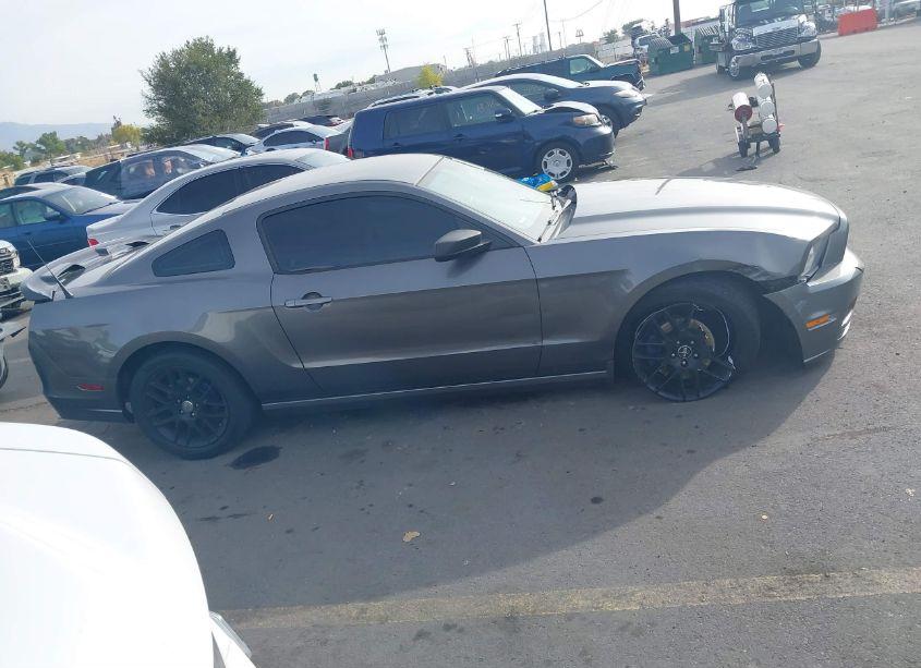 Photo 13 of 2014 Ford Mustang V6 (VIN 1ZVBP8AMXE5269554)