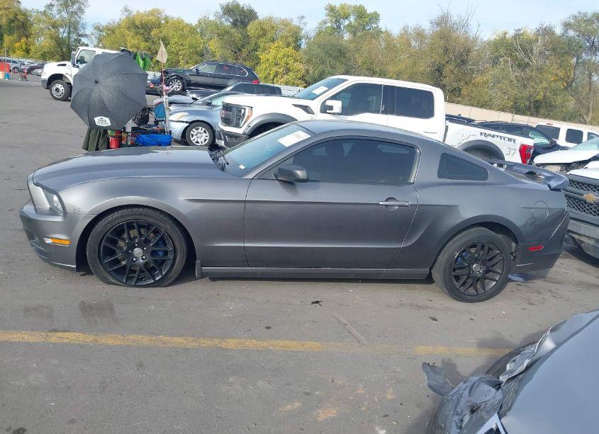 Photo 14 of 2014 Ford Mustang V6 (VIN 1ZVBP8AMXE5269554)
