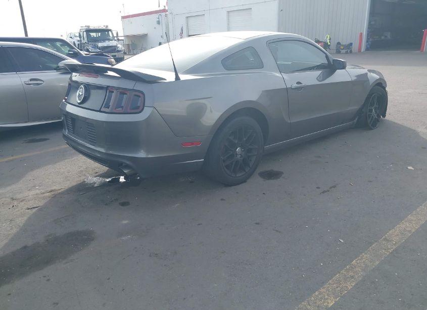 Photo 4 of 2014 Ford Mustang V6 (VIN 1ZVBP8AMXE5269554)