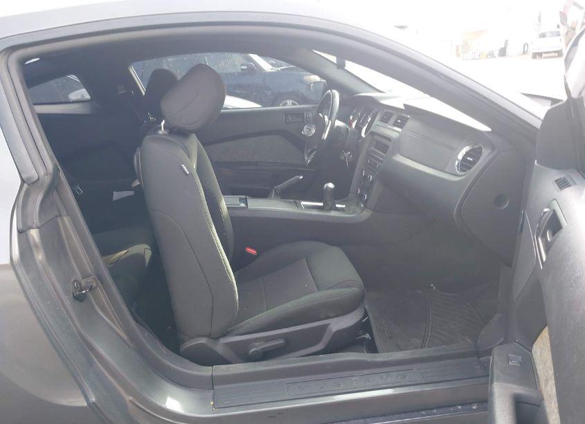 Photo 5 of 2014 Ford Mustang V6 (VIN 1ZVBP8AMXE5269554)