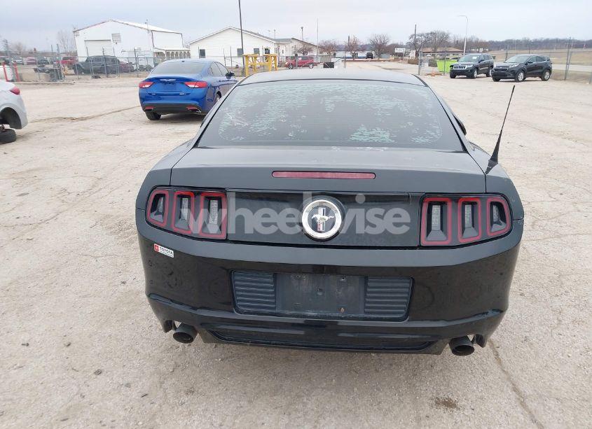 Photo 16 of 2014 Ford Mustang V6 (VIN 1ZVBP8AMXE5269733)