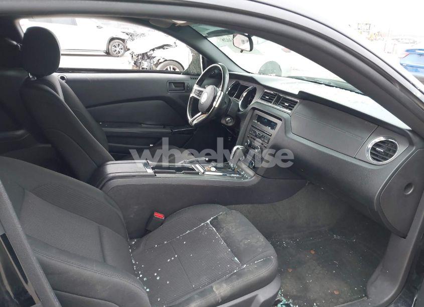 Photo 5 of 2014 Ford Mustang V6 (VIN 1ZVBP8AMXE5269733)